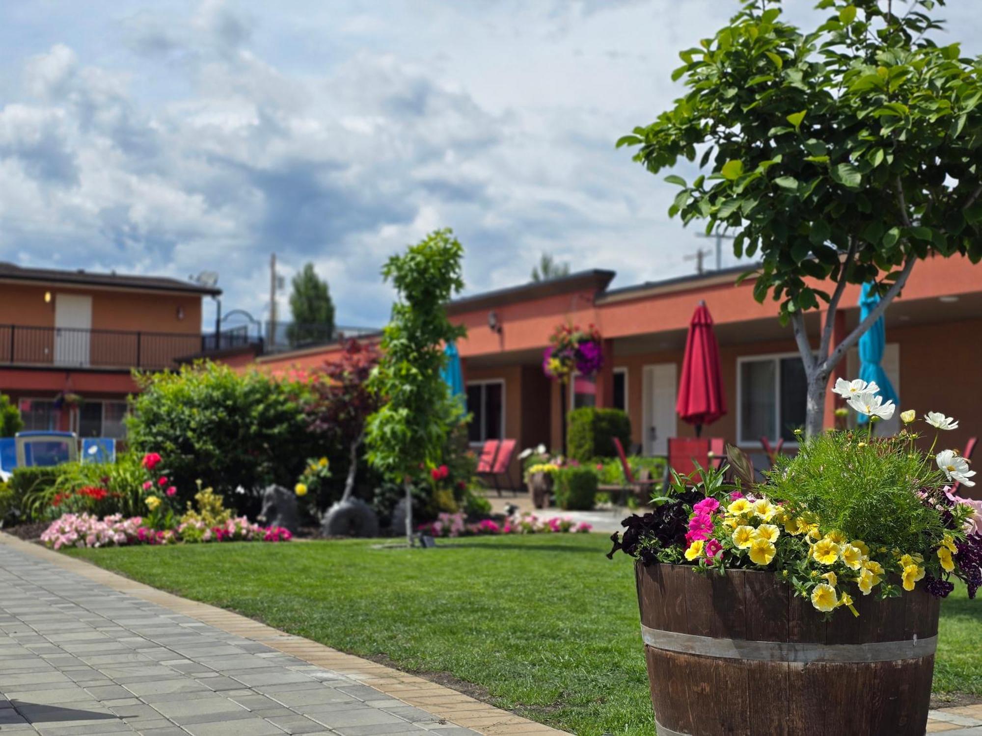 Sahara Courtyard Inn & Suites Osoyoos Kültér fotó